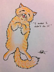 Orange Cartoon Kitty