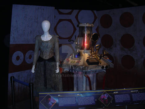 Idris costume with the makeshift TARDIS