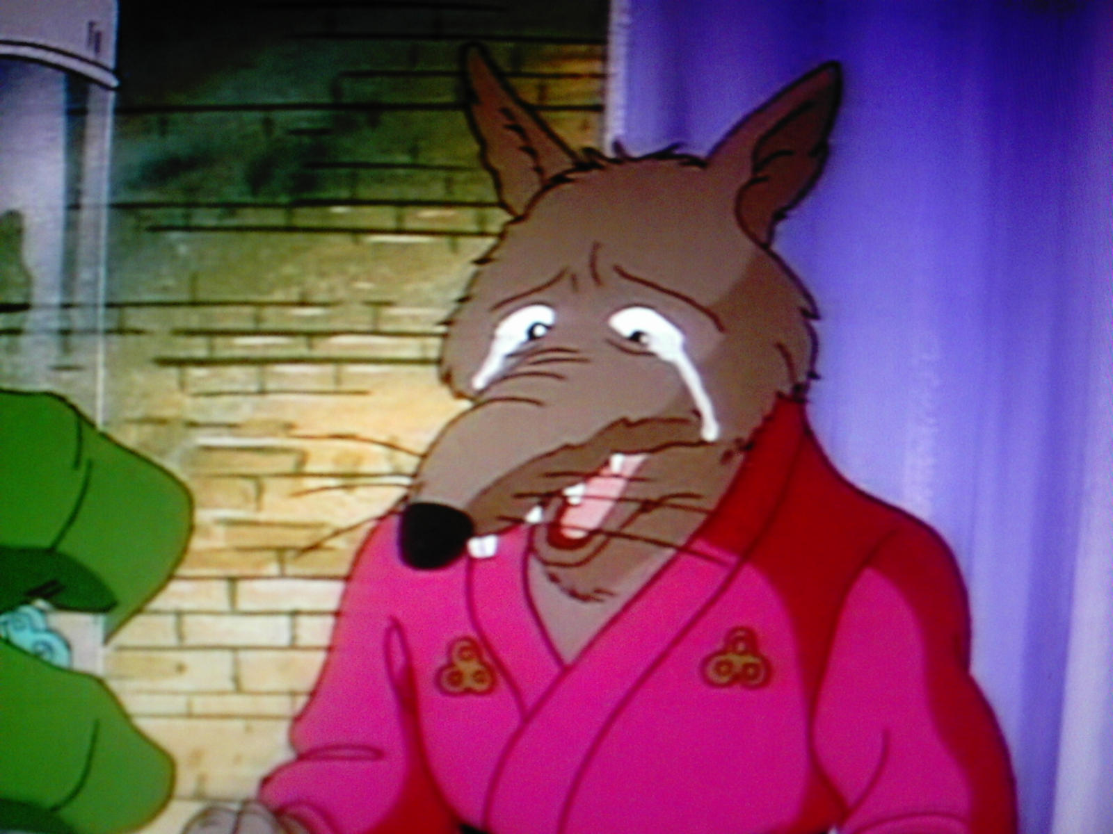 Splinter crying by Porygon2z on DeviantArt