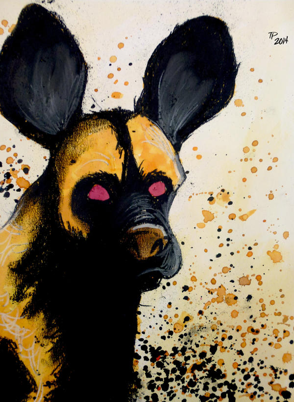 The Painted Dog