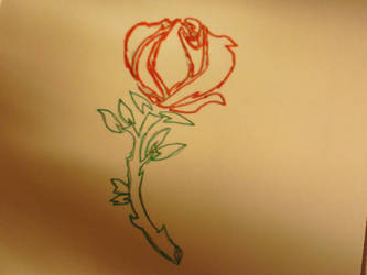 a rose for my love