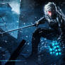 Raiden Metal Gear Revengeance Tribute