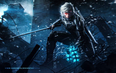 Raiden Metal Gear Revengeance Tribute