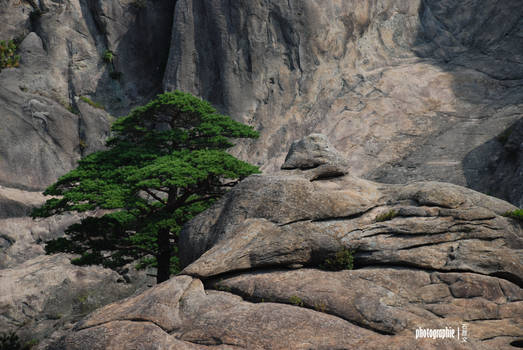 North Korea:Mt. Kumgang 4