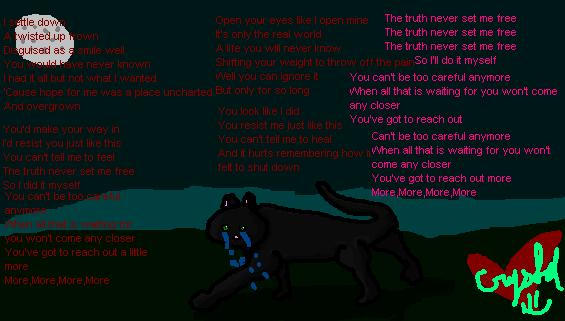 Hollyleaf i settled down