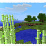 The Beauty of Minecraft