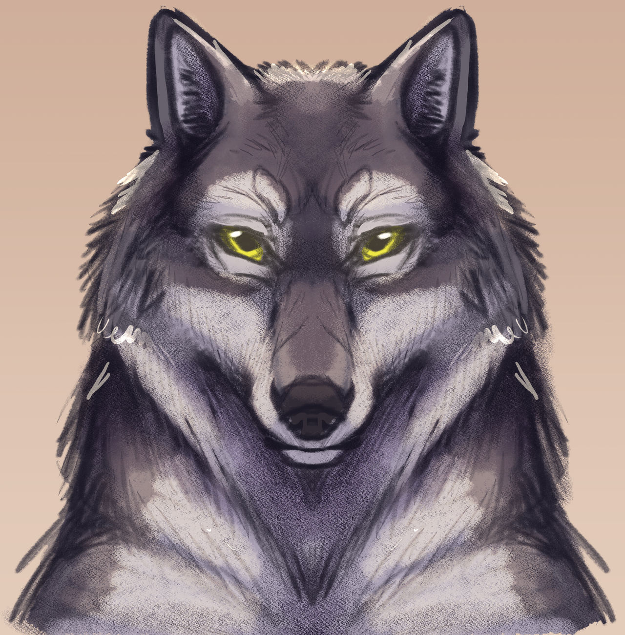 Wolf By CallMeDarkyy On DeviantArt