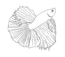 Betta lineart set.