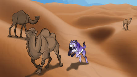 Desert lama hunting #5