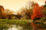 Autumn Pond by YOSHIMETAL