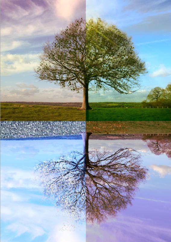 Four Seasons