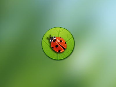 Ladybird