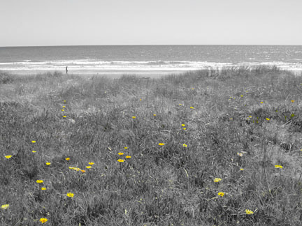 beach love