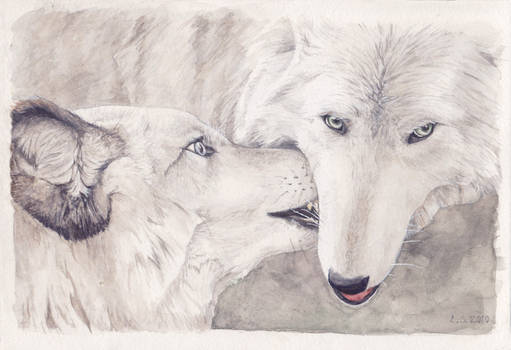 Wolf's Kiss