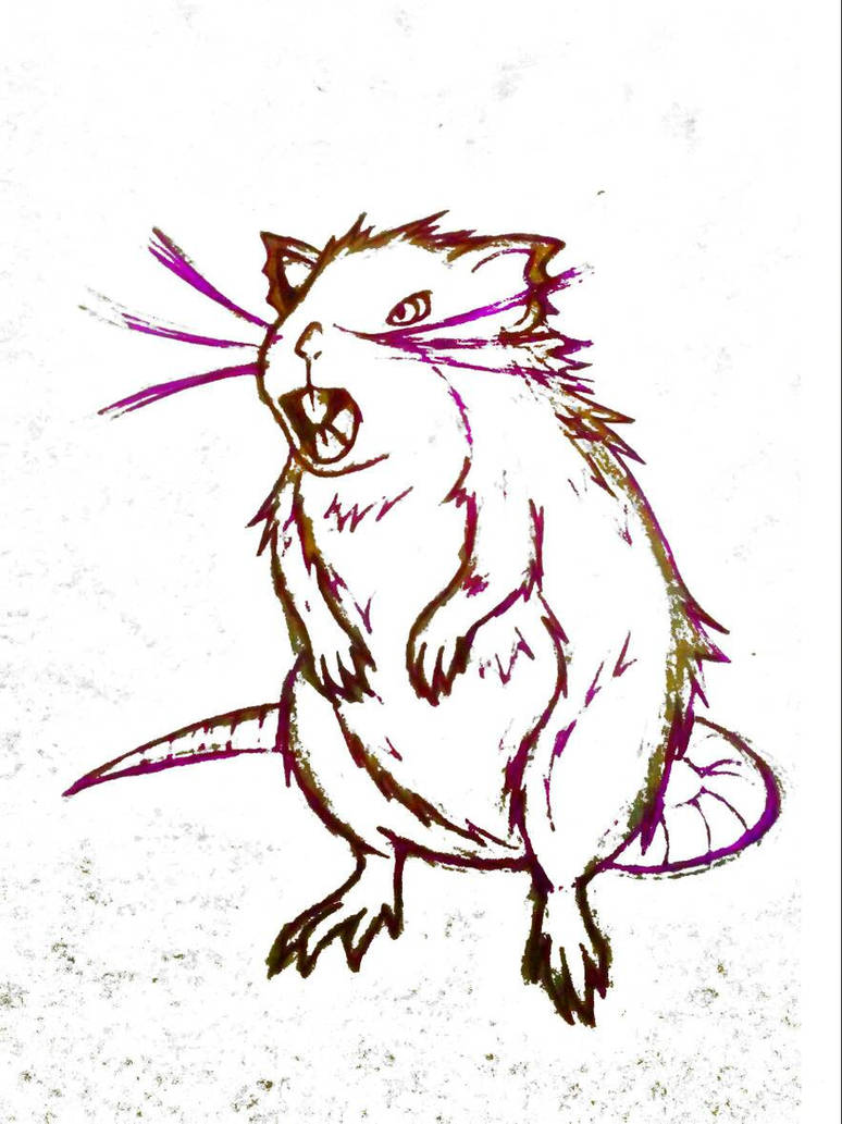 Realistic Raticate Concept Sketch by JR-Sketcher on DeviantArt