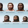 Archaic Humans