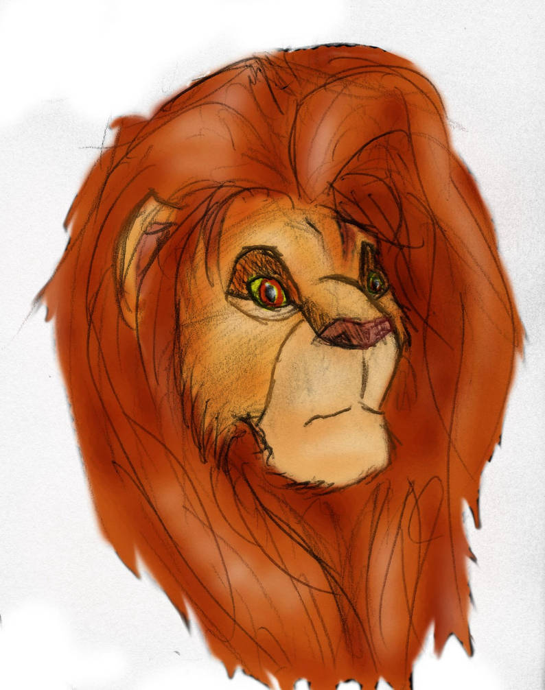 Simba Head by ReVoLynx on DeviantArt