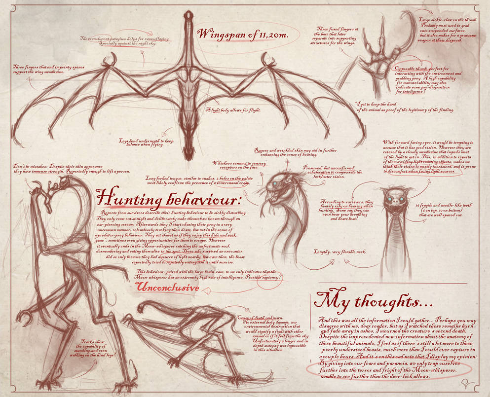 An Unexpected Discovery: My Notes and Sketches by RTLP2929 on DeviantArt