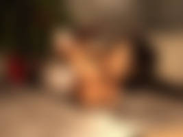 Christmas Uninvited Guest-5