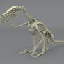 Velociraptor mongoliensis chillaxin