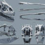Allosaurus fragilis skull