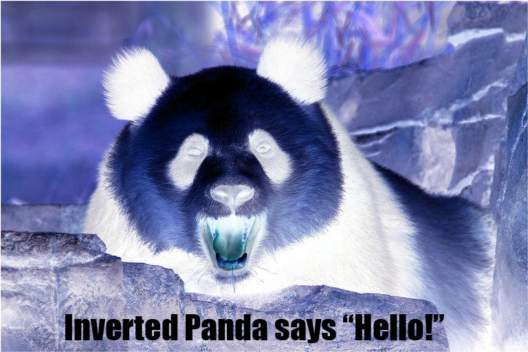 Inverted Panda says Hello by skitzydude on DeviantArt