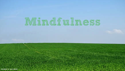 'Mindfulness' photography