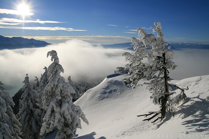 Winter Wonderland 1 by doruoprisan