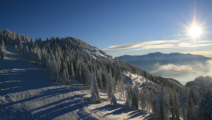 Winter Wonderland 9 by doruoprisan