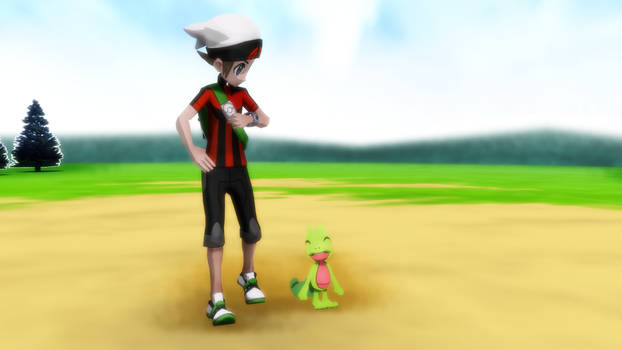 New Adventure Brendan ORAS and Treecko