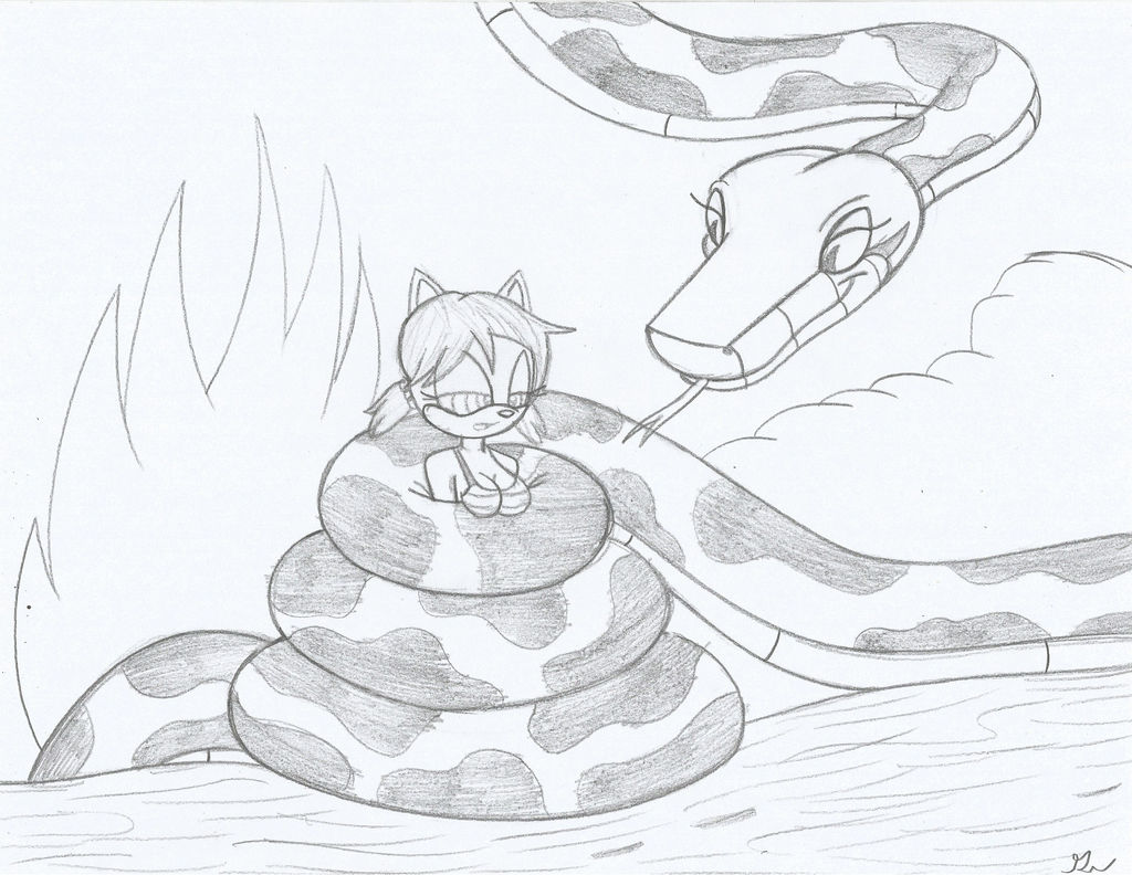 Kaa 2016 And Nami The Cat Classic Sketch by lol20 on DeviantArt