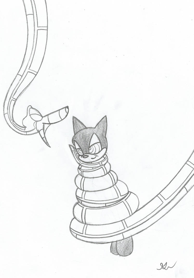 Kaa and Sonic Catwoman 97 Sketch by lol20 on DeviantArt