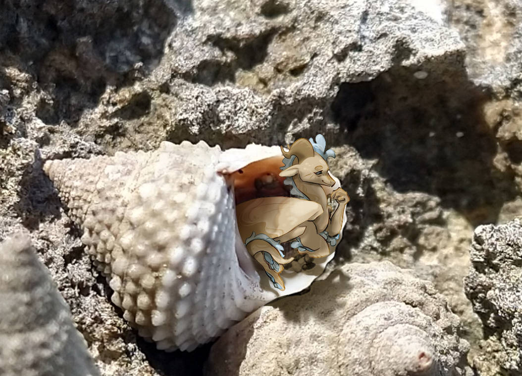 Cubic Shell by Langusaur on DeviantArt