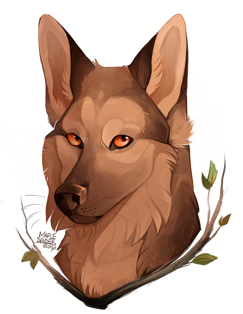 German Shepherd [Speedpaint]