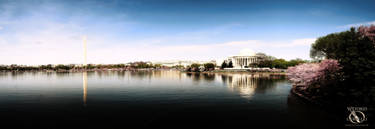 Washington Panorama - Vittorio Carvelli