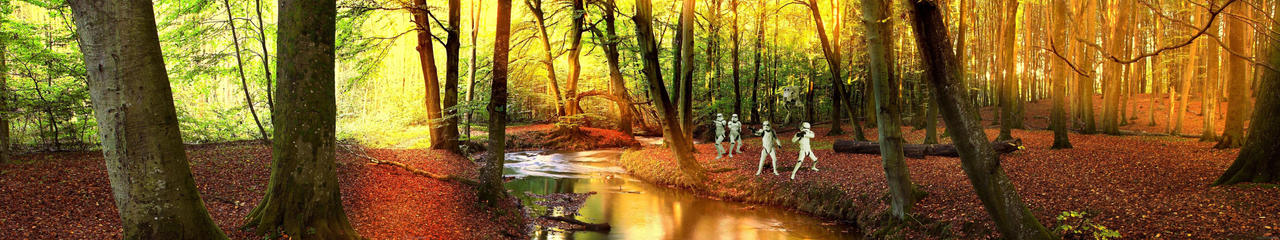 Stormtrooper Forest Background by weak1ings on DeviantArt