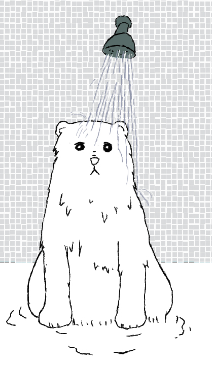 Teddy in the Shower