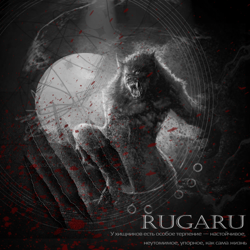 Boxer Rugaru Rugaru by Grizzlik on DeviantArt