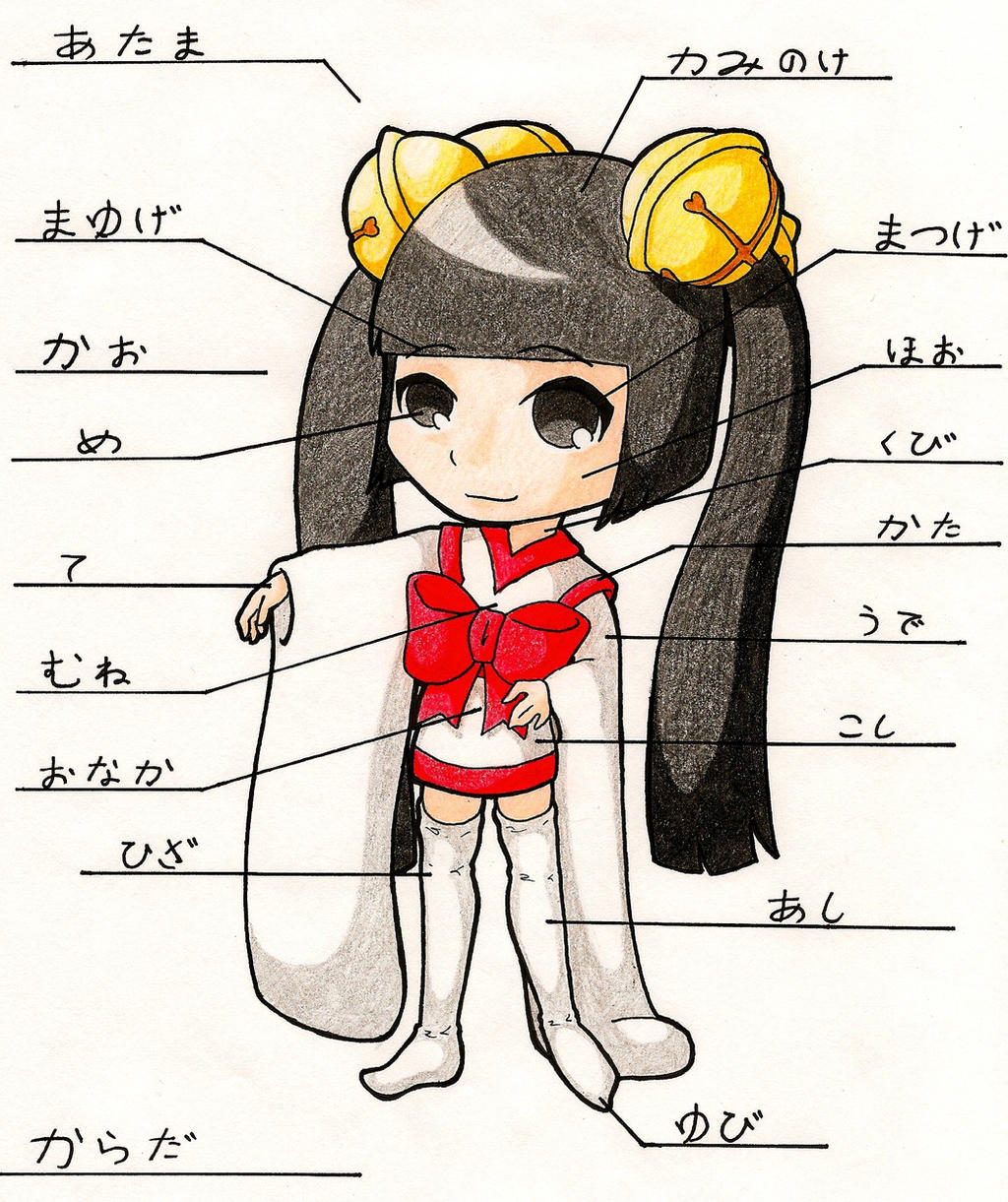 Japanese 1 Body Parts Project By Aichibiai On Deviantart Japanese 1 Body Parts Project By Aichibiai On Deviantart