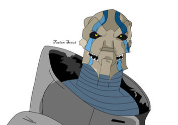 Turian Scout