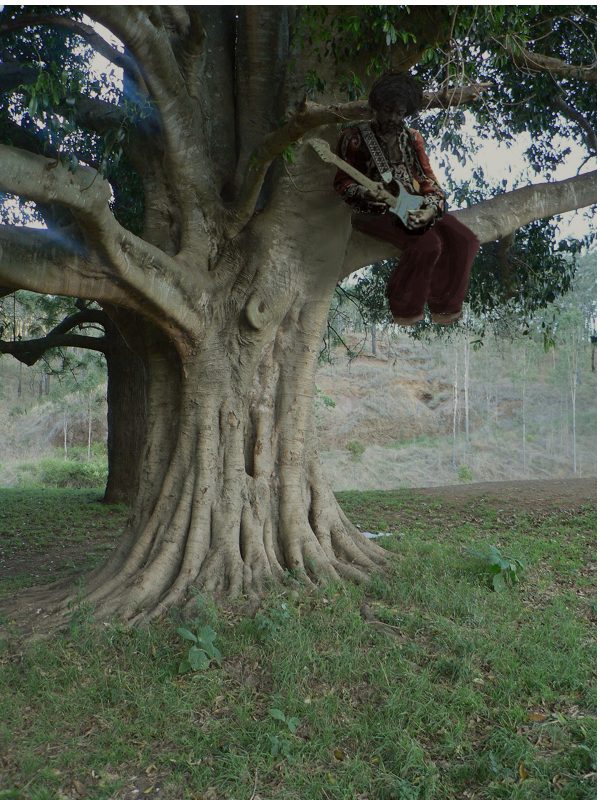 Hendrix playing in tree Photo Manip