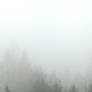 foggy day in snowy land