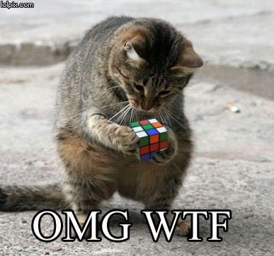 Cat and a rubix cube.