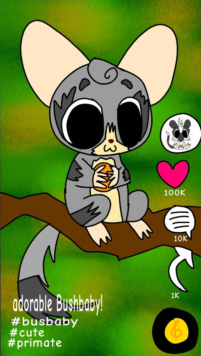 Adorable Bushbaby! by KiiroTheTarsier on DeviantArt