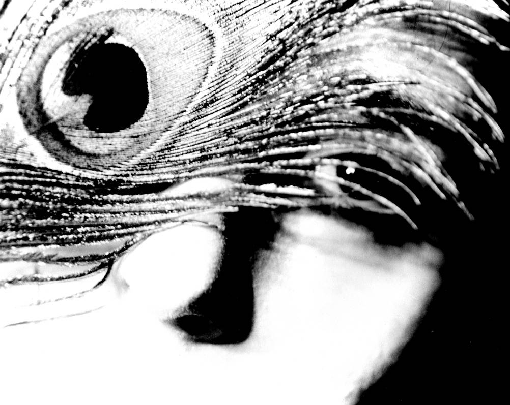 Feather IV by AnonymousFace on DeviantArt