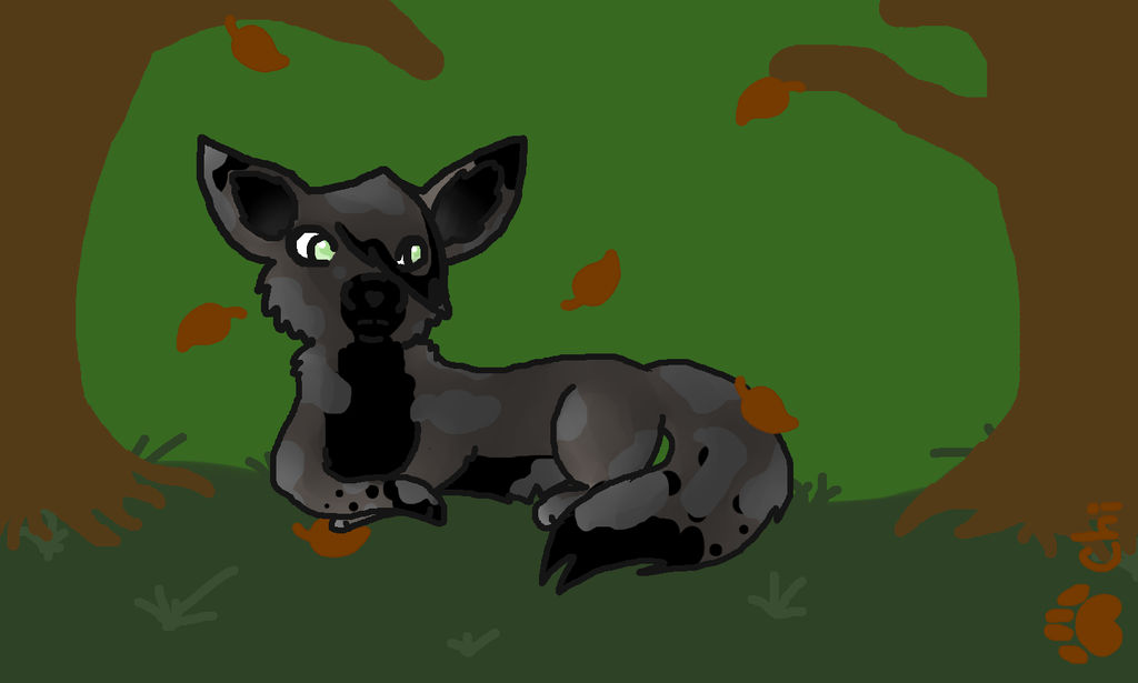 Riot The Rogue (OC warrior cats) by chikaetchiko on DeviantArt