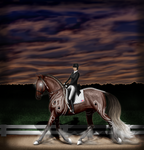 Naijisi - Canadian Equestrian Championships by Vizseryn