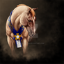 Commission - Quarter Horse