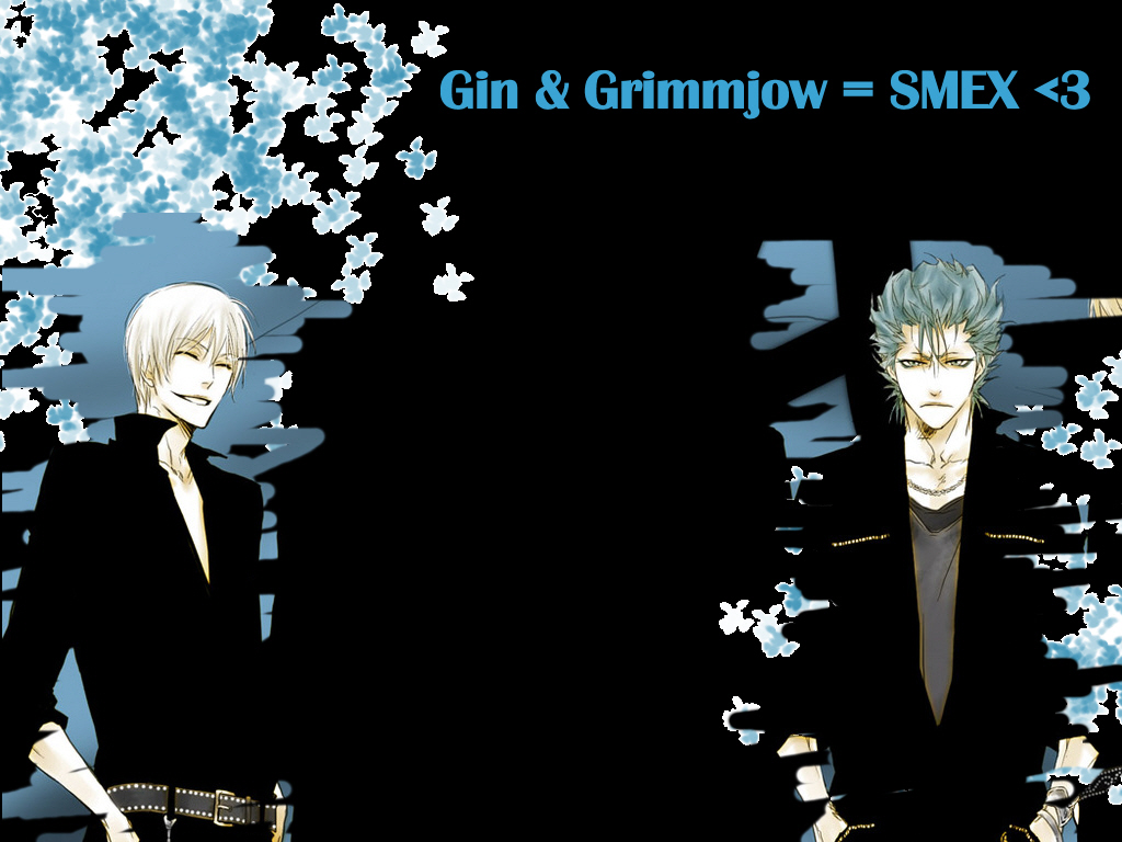 Gin and Grimmjow wallpaper