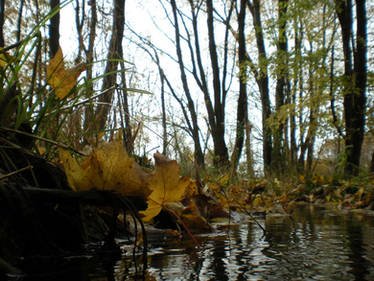 A Fall Day